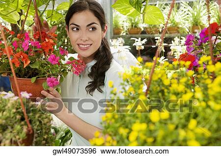 Woman holding a hanging basket in a greenhouse View Large Photo Image Stock Photograph - Woman holding a hanging basket in a greenhouse. Fotosearch