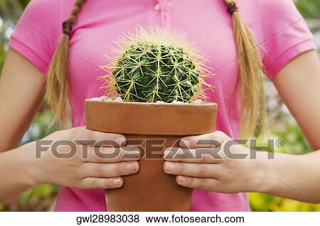 Stock Photo - Woman holding a potted cactus in a greenhouse. Fotosearch