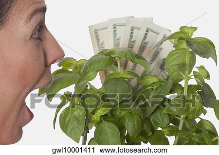 Woman looking shocked with money growing on a plant View Large Photo Image Stock Image - Woman looking shocked with money growing on a plant. Fotosearch