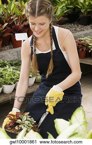 Woman planting a plant in a pot View Large Photo Image Stock Image - Woman planting a plant in a pot. Fotosearch
