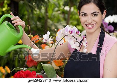 Woman watering plants in a greenhouse View Large Photo Image Stock Image - Woman watering plants in a greenhouse. Fotosearch