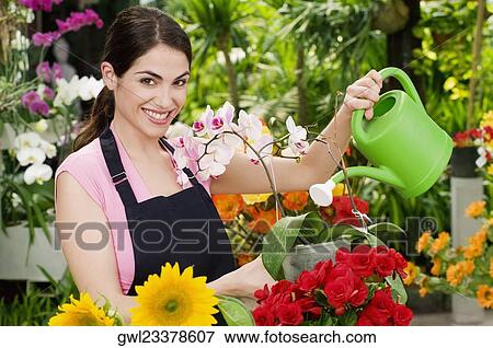 Woman watering plants in a greenhouse View Large Photo Image Stock Photo - Woman watering plants in a greenhouse. Fotosearch