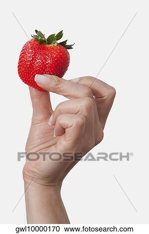 Woman's hand holding a strawberry View Large Photo Image Stock Image - Woman's hand holding a strawberry. Fotosearch
