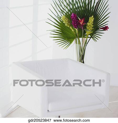 Armchair with a houseplant in a room View Large Photo Image Stock Photo - Armchair with a houseplant in a room. Fotosearch