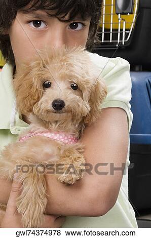 Boy carrying a puppy in a supermarket View Large Photo Image Stock Photo - Boy carrying a puppy in a supermarket. Fotosearch