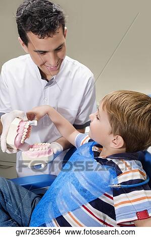 Boy learning how to brush teeth with the help of dentures in a dentist's office View Large Photo Image Picture - Boy learning how to brush teeth with the help of dentures in a dentist's office. Fotosearch