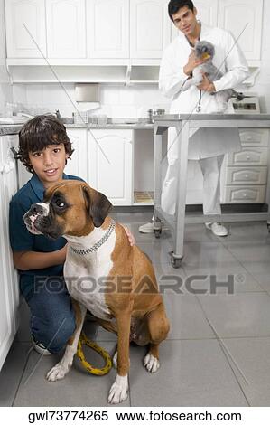 Boy stroking a dog with a vet in the background View Large Photo Image Stock Photography - Boy stroking a dog with a vet in the background. Fotosearch