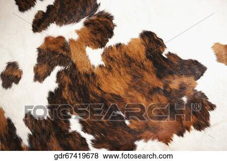Close-up of a carpet View Large Photo Image Stock Photo - Close-up of a carpet. Fotosearch