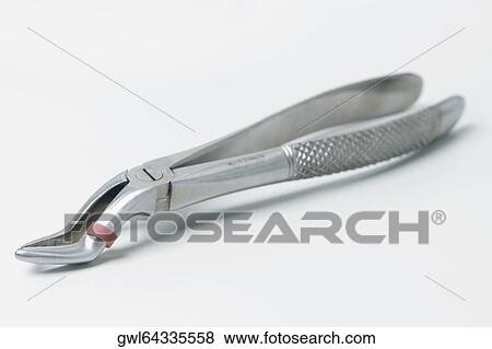 Close-up of a dental plier View Large Photo Image Stock Photo - Close-up of a dental plier. Fotosearch