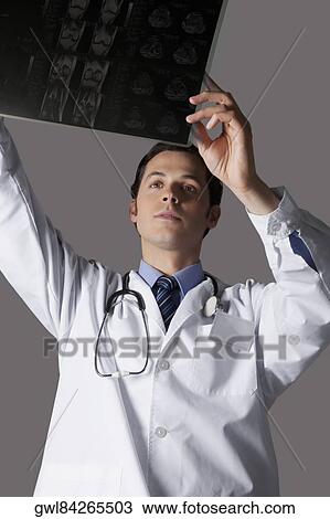 Close-up of a doctor examining an x-ray report View Large Photo Image Stock Image - Close-up of a doctor examining an x-ray report. Fotosearch