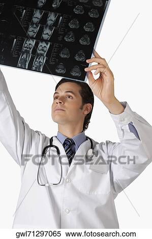 Close-up of a doctor examining an x-ray report View Large Photo Image Stock Photography - Close-up of a doctor examining an x-ray report. Fotosearch