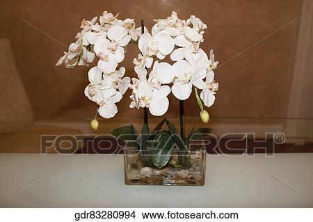 Close-up of a flower vase on a table View Large Photo Image Picture - Close-up of a flower vase on a table. Fotosearch