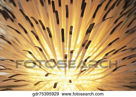 Stock Photo - Close-up of a lighting equipment. Fotosearch
