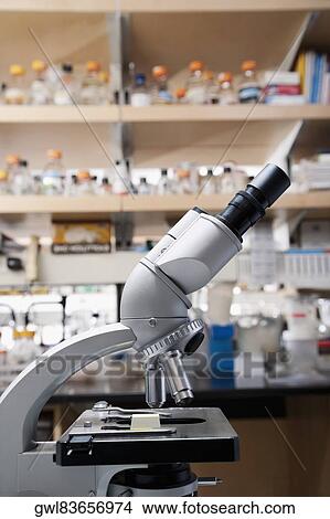 Close-up of a microscope in a laboratory View Large Photo Image Picture - Close-up of a microscope in a laboratory. Fotosearch
