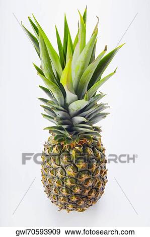 Close-up of a pineapple View Large Photo Image Stock Photo - Close-up of a pineapple. Fotosearch