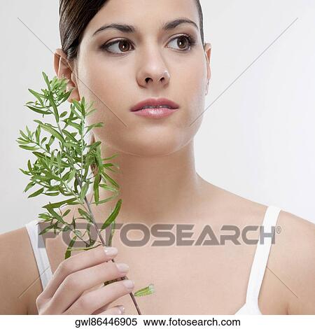 Close-up of a woman holding aroma herbs View Large Photo Image Stock Photography - Close-up of a woman holding aroma herbs. Fotosearch