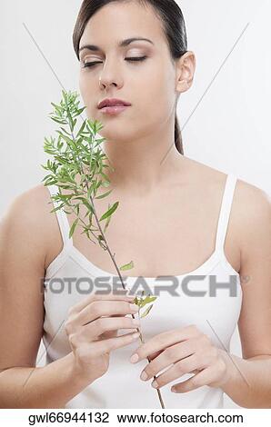 Close-up of a woman smelling aroma herbs View Large Photo Image Stock Image - Close-up of a woman smelling aroma herbs. Fotosearch