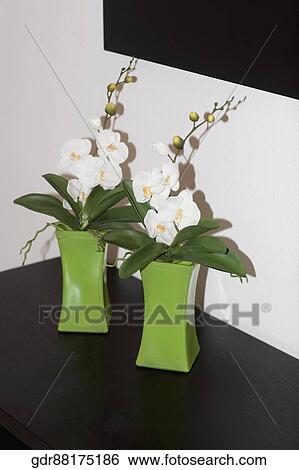 Stock Photograph - Close-up of houseplants on a sideboard. Fotosearch