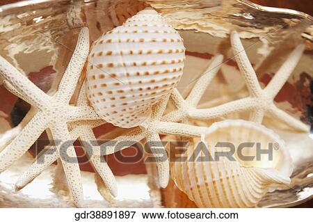Close-up of showpieces View Large Photo Image Stock Photo - Close-up of showpieces. Fotosearch