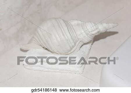 Conch shell on a towel in the bathroom View Large Photo Image Stock Photo - Conch shell on a towel in the bathroom. Fotosearch
