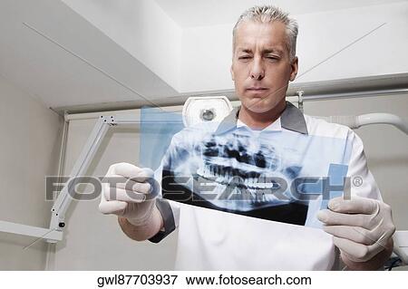Dentist examining an X-Ray report View Large Photo Image Stock Photo - Dentist examining an X-Ray report. Fotosearch