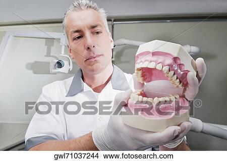 Dentist holding a set of dentures View Large Photo Image Picture - Dentist holding a set of dentures. Fotosearch