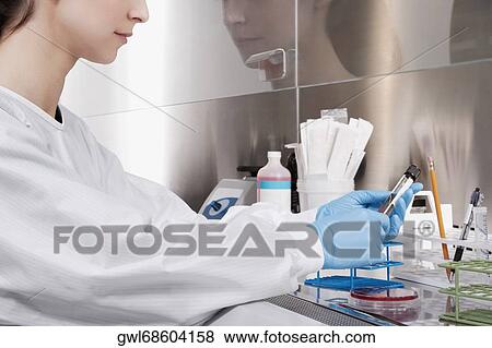 Female doctor holding a medical sample in a laboratory View Large Photo Image Stock Photo - Female doctor holding a medical sample in a laboratory. Fotosearch
