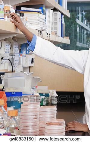 Female doctor working in a laboratory View Large Photo Image Stock Image - Female doctor working in a laboratory. Fotosearch