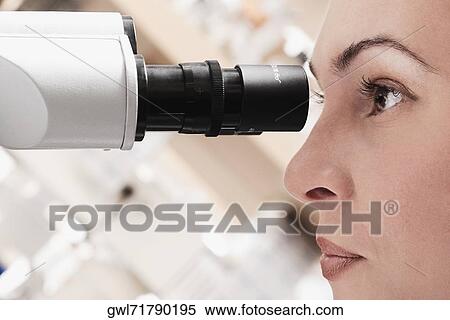 Female doctor working on a microscope in a laboratory View Large Photo Image Stock Photography - Female doctor working on a microscope in a laboratory. Fotosearch