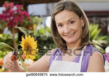 Female florist pruning flowers View Large Photo Image Stock Photography - Female florist pruning flowers. Fotosearch