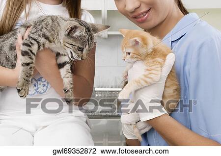 Female vet with a girl carrying cats View Large Photo Image Stock Image - Female vet with a girl carrying cats. Fotosearch