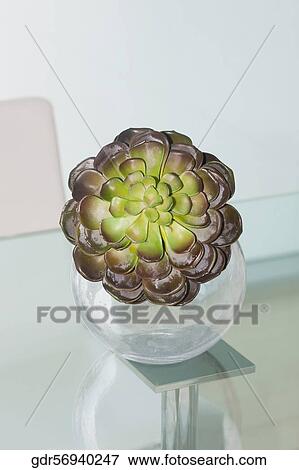 Flower vase on a table View Large Photo Image Stock Photo - Flower vase on a table. Fotosearch