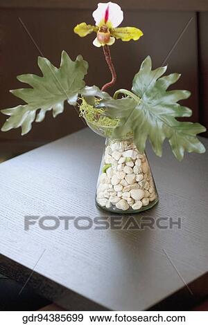 Flower vase on a table View Large Photo Image Stock Photo - Flower vase on a table. Fotosearch