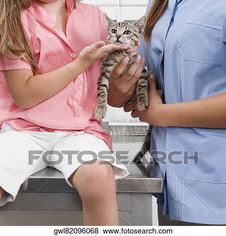 Girl and a female vet carrying a cat View Large Photo Image Stock Photo - Girl and a female vet carrying a cat. Fotosearch