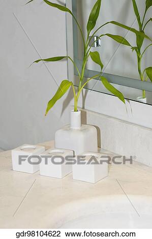 Houseplant in the bathroom View Large Photo Image Stock Image - Houseplant in the bathroom. Fotosearch