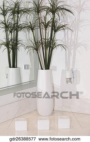 Stock Photo - Houseplant in the bathroom. Fotosearch