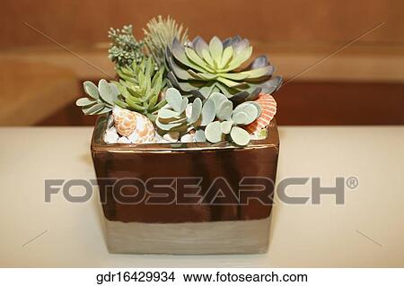 Picture - Houseplant on a table. Fotosearch