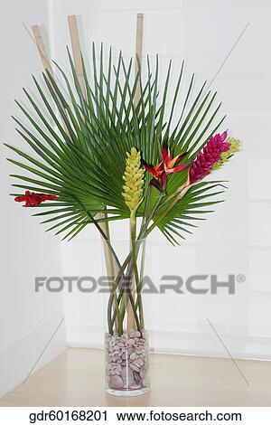 Stock Image - Houseplant on a table. Fotosearch