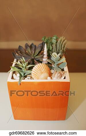 Houseplant on a table View Large Photo Image Stock Photograph - Houseplant on a table. Fotosearch