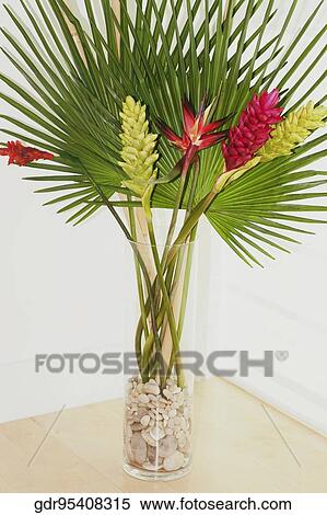 Houseplant on a table View Large Photo Image Stock Photography - Houseplant on a table. Fotosearch