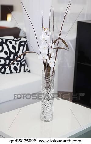 Interiors of a living room View Large Photo Image Stock Photograph - Interiors of a living room. Fotosearch