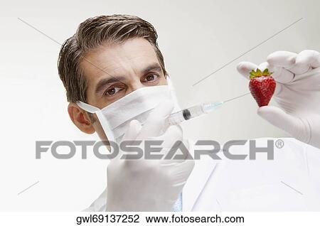 Lab technician injecting into a strawberry View Large Photo Image Stock Image - Lab technician injecting into a strawberry. Fotosearch