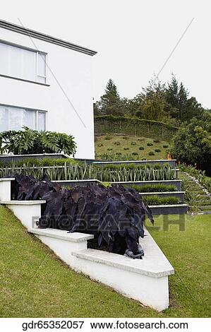 Lawn in front of a house View Large Photo Image Stock Photo - Lawn in front of a house. Fotosearch