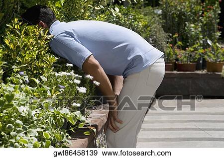 Man looking at plants in a greenhouse View Large Photo Image Stock Photo - Man looking at plants in a greenhouse. Fotosearch