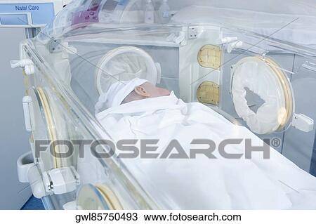 Newborn baby in an incubator View Large Photo Image Stock Image - Newborn baby in an incubator. Fotosearch