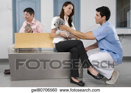 Pets with their owners in a veterinary hospital View Large Photo Image Stock Image - Pets with their owners in a veterinary hospital. Fotosearch
