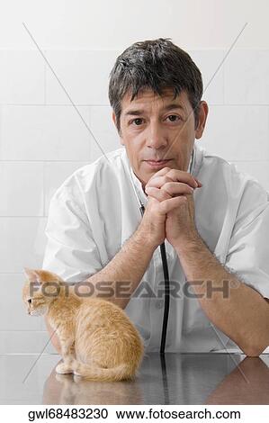Portrait of a vet with a cat View Large Photo Image Stock Image - Portrait of a vet with a cat. Fotosearch