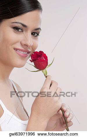 Portrait of a woman holding a rose View Large Photo Image Stock Photograph - Portrait of a woman holding a rose. Fotosearch