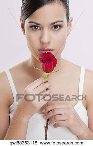 Portrait of a woman smelling a rose View Large Photo Image Stock Photography - Portrait of a woman smelling a rose. Fotosearch