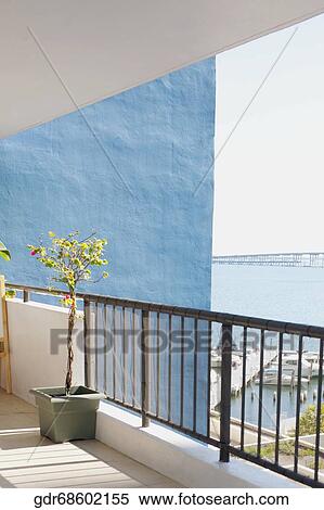 Potted plant in the balcony of a house View Large Photo Image Stock Photography - Potted plant in the balcony of a house. Fotosearch